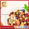 High Quality Mix Dried Fruit-Nuts